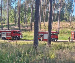 Uszkodzone dachy i połamane drzewa w Linowcu i Kuligach