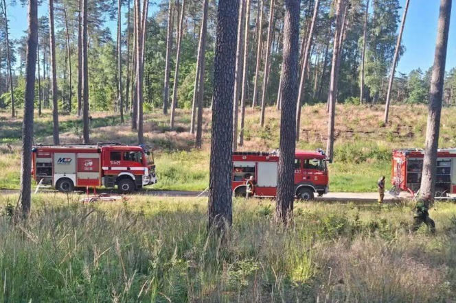 Czerwone wozy strażackie z OSP Grodziczno, Kuligi, Tylicach i Zajączkowie na tle lasu, w którym prowadzono akcję po burzach. Możesz przeczytać o intensywnej dobie strażaków na naszym portalu.