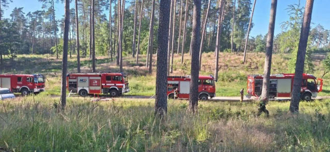 Uszkodzone dachy i połamane drzewa w Linowcu i Kuligach