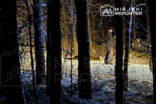 Śmiertelna zabawa na śniegu. 25-latek nie przeżył kuligu. Spadł z worka i uderzył w drzewo