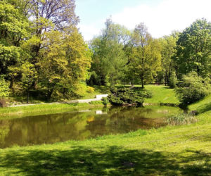 Park Śląski