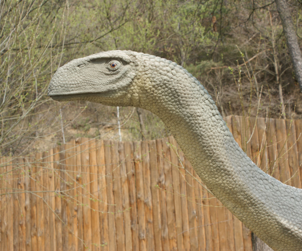 baltow dinozaur