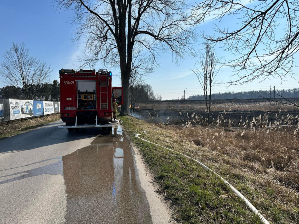 Pożar w Lubajnach pod Ostródą! Ogień zagraża schronisku dla zwierząt. Psy ewakuowane!