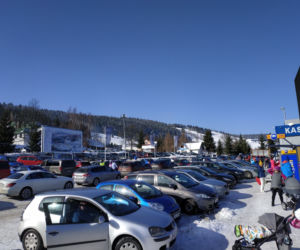 zieleniec