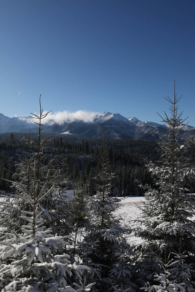 Śnieg w Tatrach