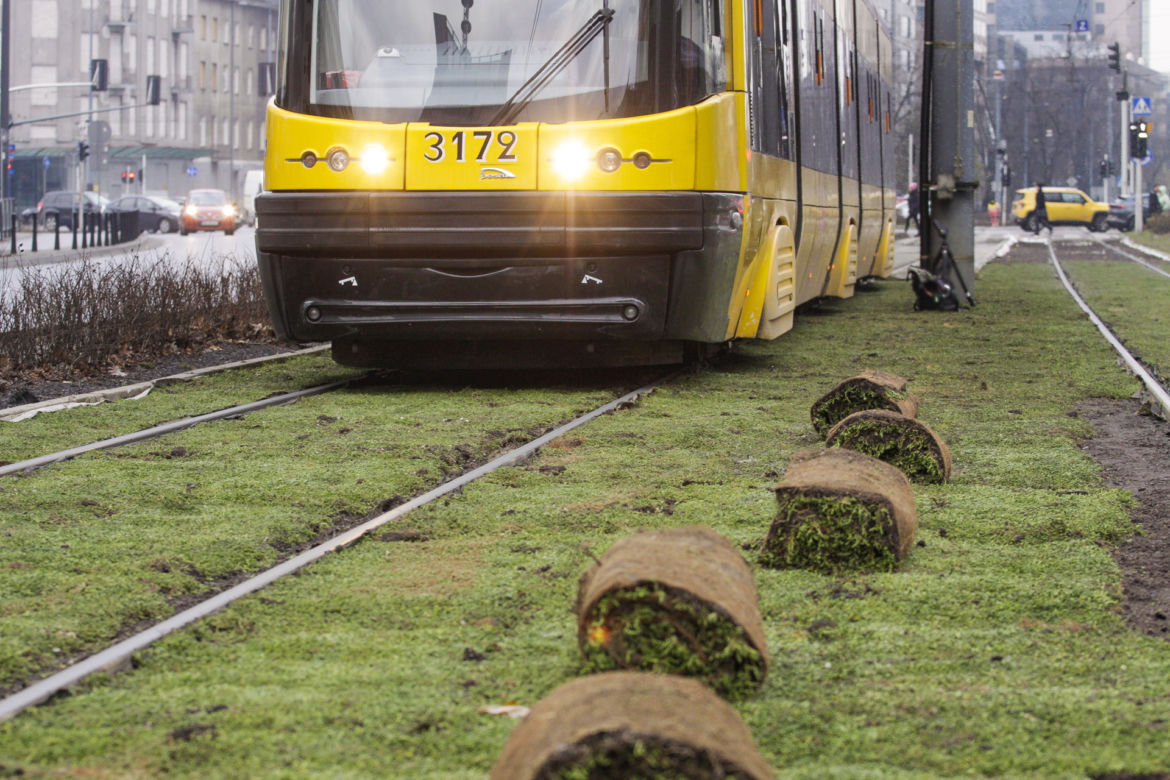 Tramwajarze zazielenili torowiska w centrum 