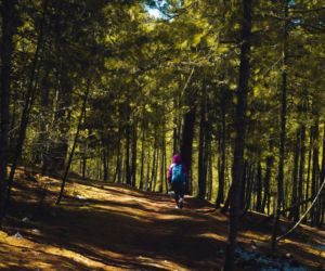 Maraton w wąwozach Kazimierza Dolnego