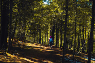 Maraton w wąwozach Kazimierza Dolnego