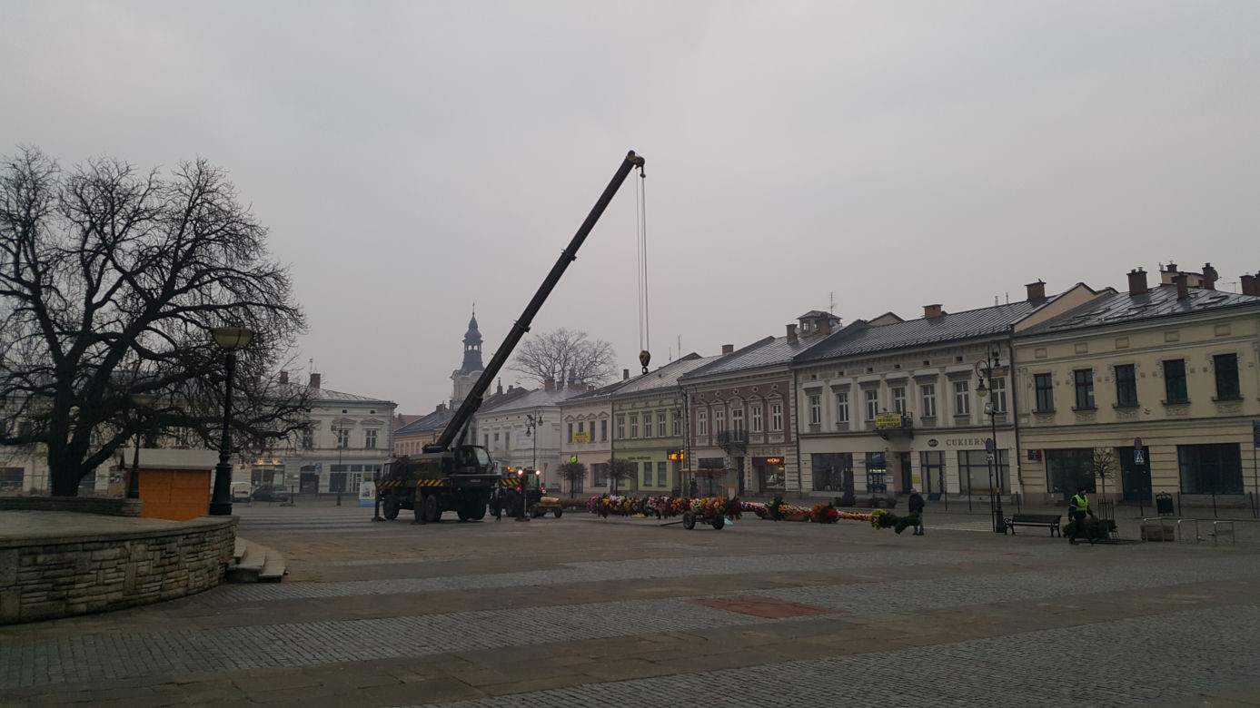 Ogromna palma wielkanocna na nowosądeckim Rynku 