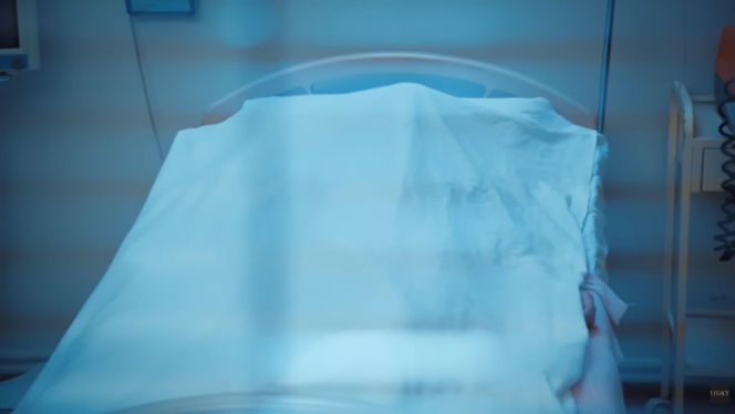 Dziedzictwo, odc. 859. Akca