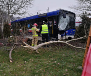 Groźny wypadek w podbydgoskim Niemczu. Autobus zderzył się z osobówką! [ZDJĘCIA]