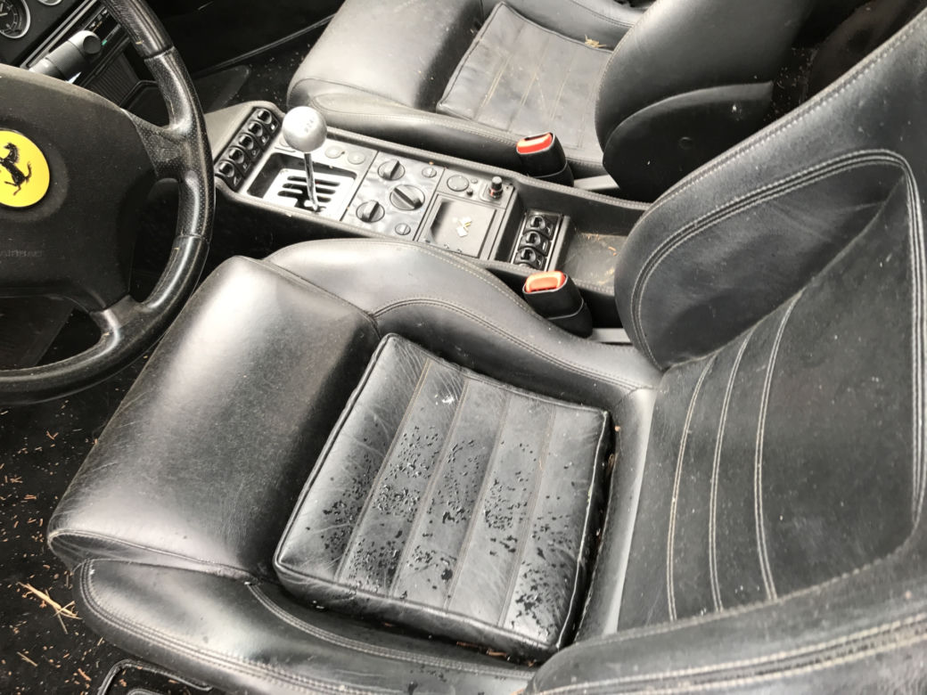 11 klasycznych Ferrari porzuconych w polu