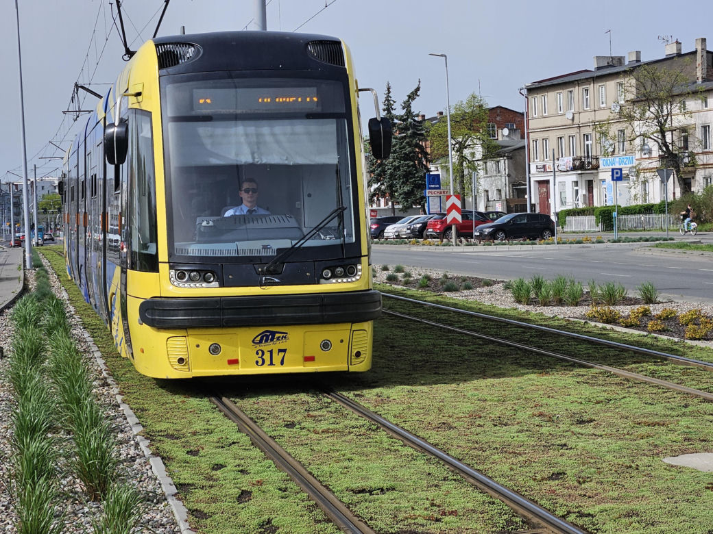 Chwalą się zielenią w centrum Torunia i pokazują zdjęcia. Tak wyglądają torowiska i nie tylko