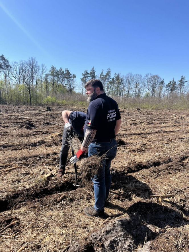 Siedleccy policjanci zasadzili drzewa w Golicach w ramach akcji „Plant a Tree – Green IPA Project”
