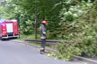 Po ulewie strażacy mieli ręce pełne roboty! Oto skutki burz w regionie łódzkim [FOTO]