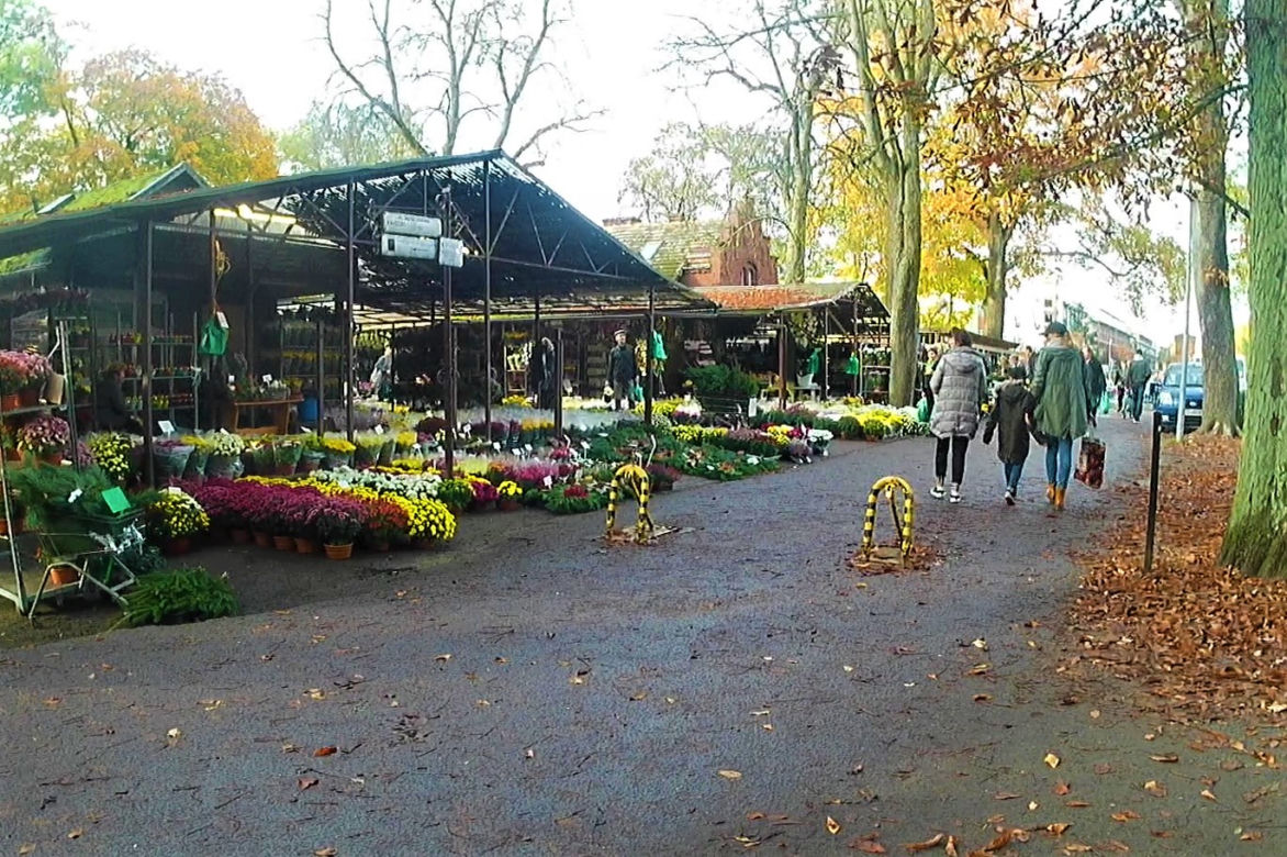 Cmentarz Centralny w Szczecinie przed 1 listopada
