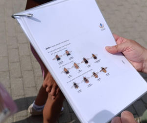 Dzika Iława: Spacer przyrodniczy o Dzikich Zapylaczach