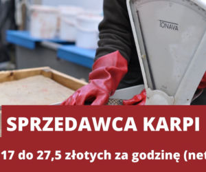 Świąteczne zawody 2021. Ile może zarobić Mikołaj, Śnieżynka i sprzedawca karpi? [STAWKI ZA GODZINĘ]