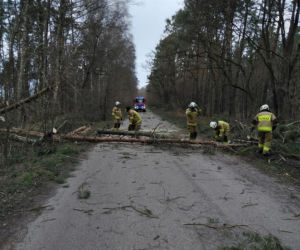 Szkody po Orkanie Eunice. Zrywało dachy, wyrywało grube drzewa, brakowało prądu