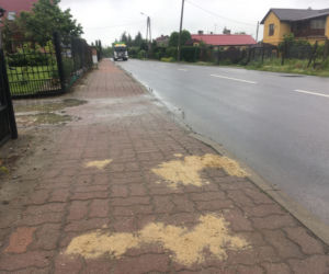 Tragedia w Kraśniku. Po pijaku staranowała matkę z dzieckiem