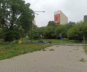 Przez Lublin przeszła potężna nawałnica. Trwa usuwanie jej skutków. 
