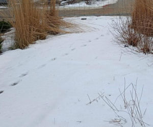 Podejrzany uciekł z miejsca zdarzenia. Zdradziły go ślady na śniegu