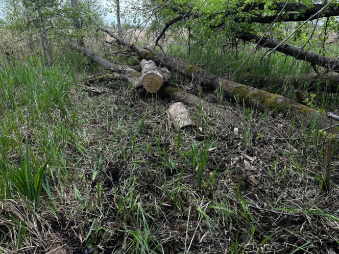 13-letni Mikołaj zginął nad jeziorem. xxx Śledczy mówią o brutalnym pobiciu