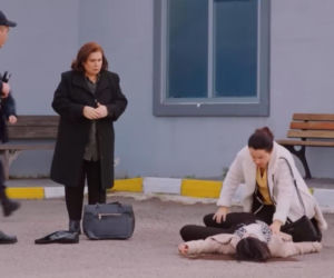 Miłość i nadzieja odc. 339. Cavidan, Naciye, Bahar