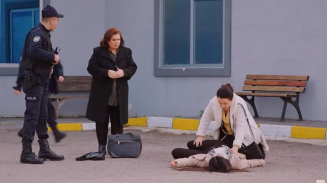 Miłość i nadzieja odc. 339. Cavidan, Naciye, Bahar