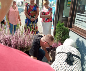 wolontariat prezydenta Leszna