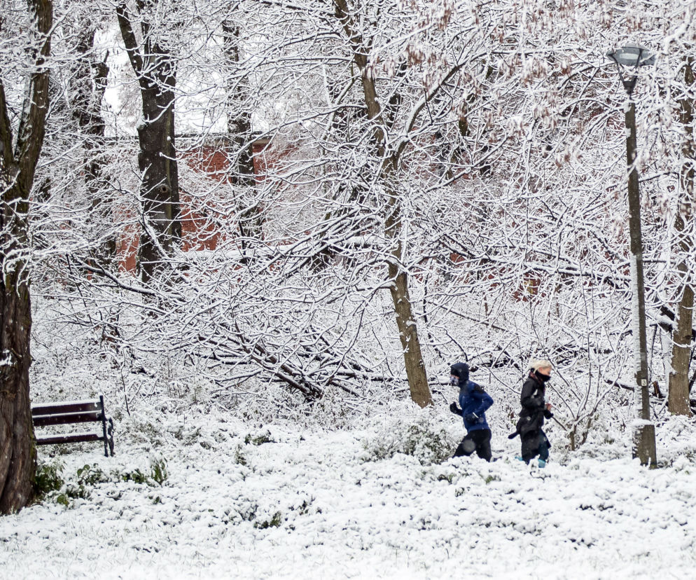 Kiedy w Warszawie spadnie śnieg? Prognozy meteorologów są jasne, musimy się przygotować