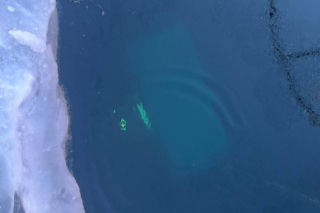 Siedem osób zginęło w piątek w Bajkale na Syberii, gdy ich samochód wpadł do zamarzniętych wód tego jeziora