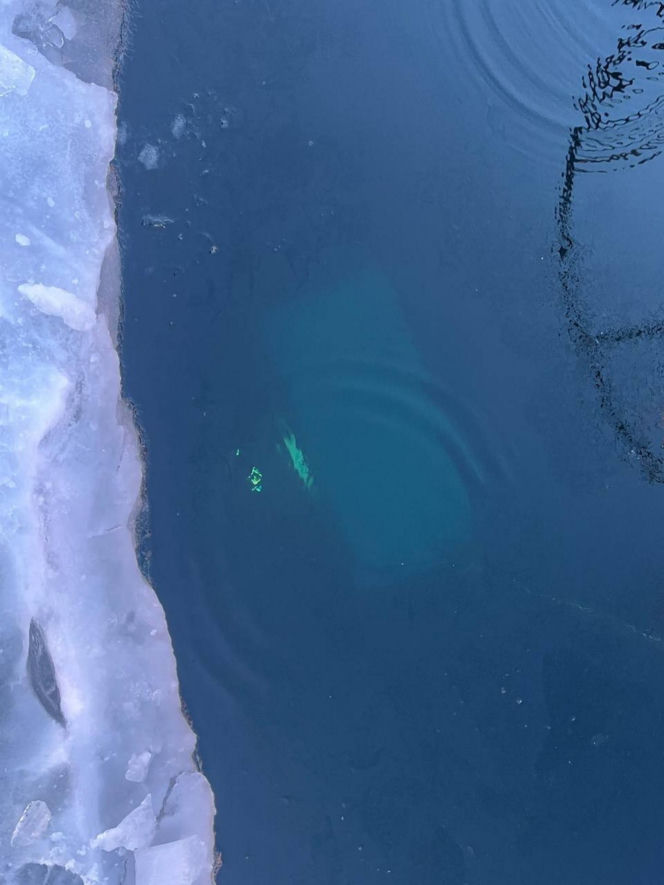 Siedem osób zginęło w piątek w Bajkale na Syberii, gdy ich samochód wpadł do zamarzniętych wód tego jeziora