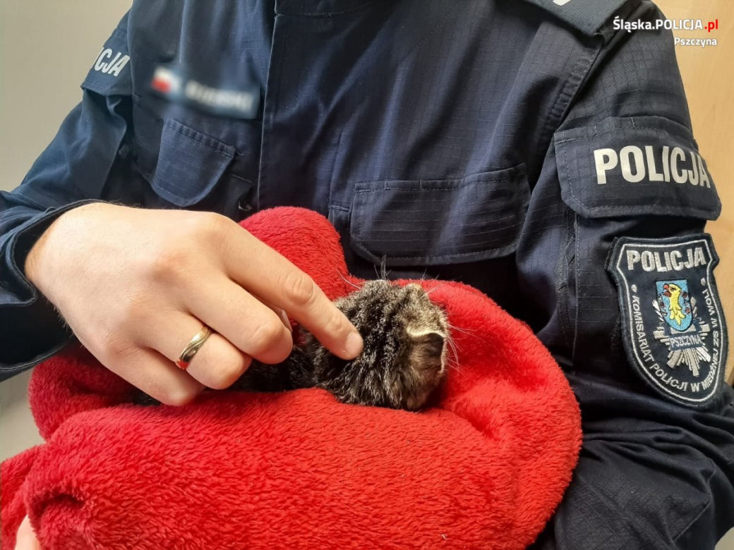 Policjantka ocaliła kotka [ZDJĘCIA]