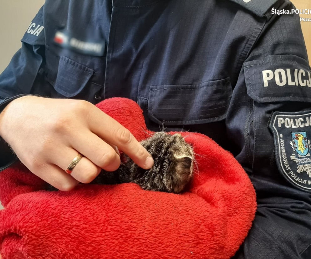 Policjantka ocaliła kotka [ZDJĘCIA]