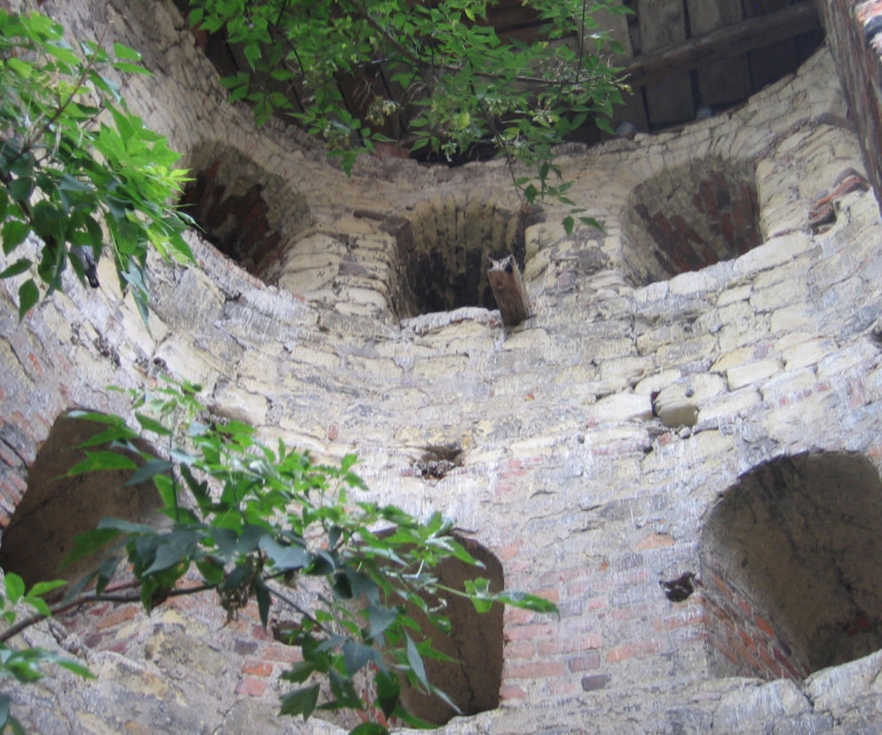 Baszta Gotycka