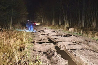 Groźna sytuacja na drodze nr 812. Kobieta z dziećmi utknęli w lesie