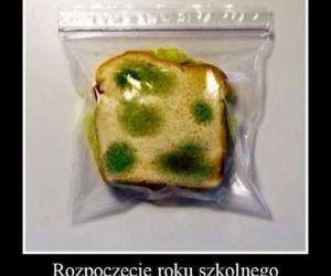 Szkoła a koronawirus: MEMY. Wrzesień w szkole w oczach internautów [ZDJĘCIA]