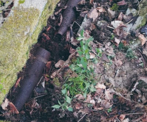 Nowy Kościół ewakuowany. Groźny niewybuchy znalezione podczas porządków