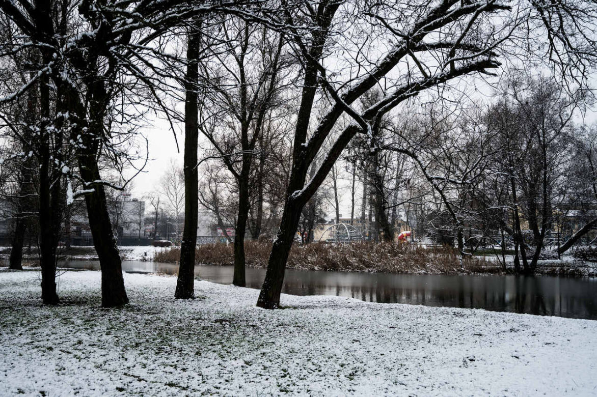 Skawiński park w zimowej otoczce