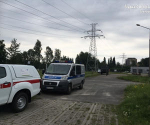 Sosnowiec. Tragiczny finał poszukiwań pani Leokadii. Znaleziono szczątki [ZDJĘCIA]