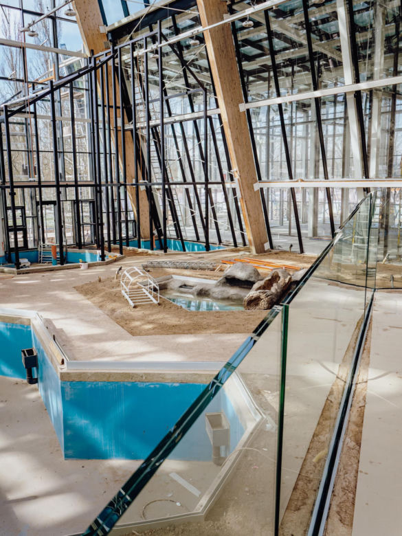 Budowa Egzotarium w Sosnowcu
