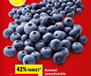 Lidl - promocje na sobotę