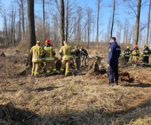 Niezidentyfikowany obiekt w lesie w woj. lubelskim