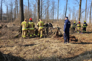 Tajemnicze znalezisko w lesie w woj. lubelskim