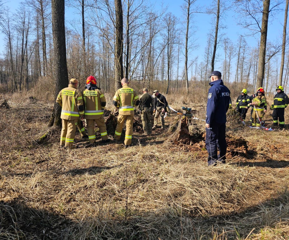 Niezidentyfikowany obiekt w lesie w woj. lubelskim