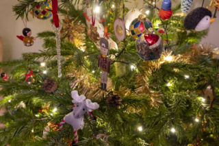 Co zrobić aby choinka dłużej stała i nie gubiła igieł? Są na to sposoby!