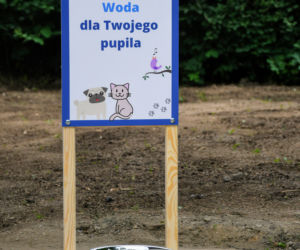 Wodopoje dla psów na pętlach MPK Wrocław