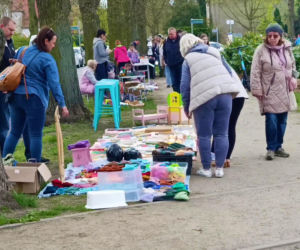 Pchli targ na Pogodnie