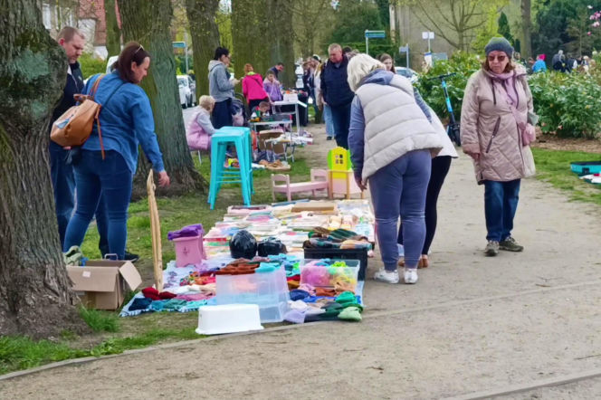 Pchli targ na Pogodnie